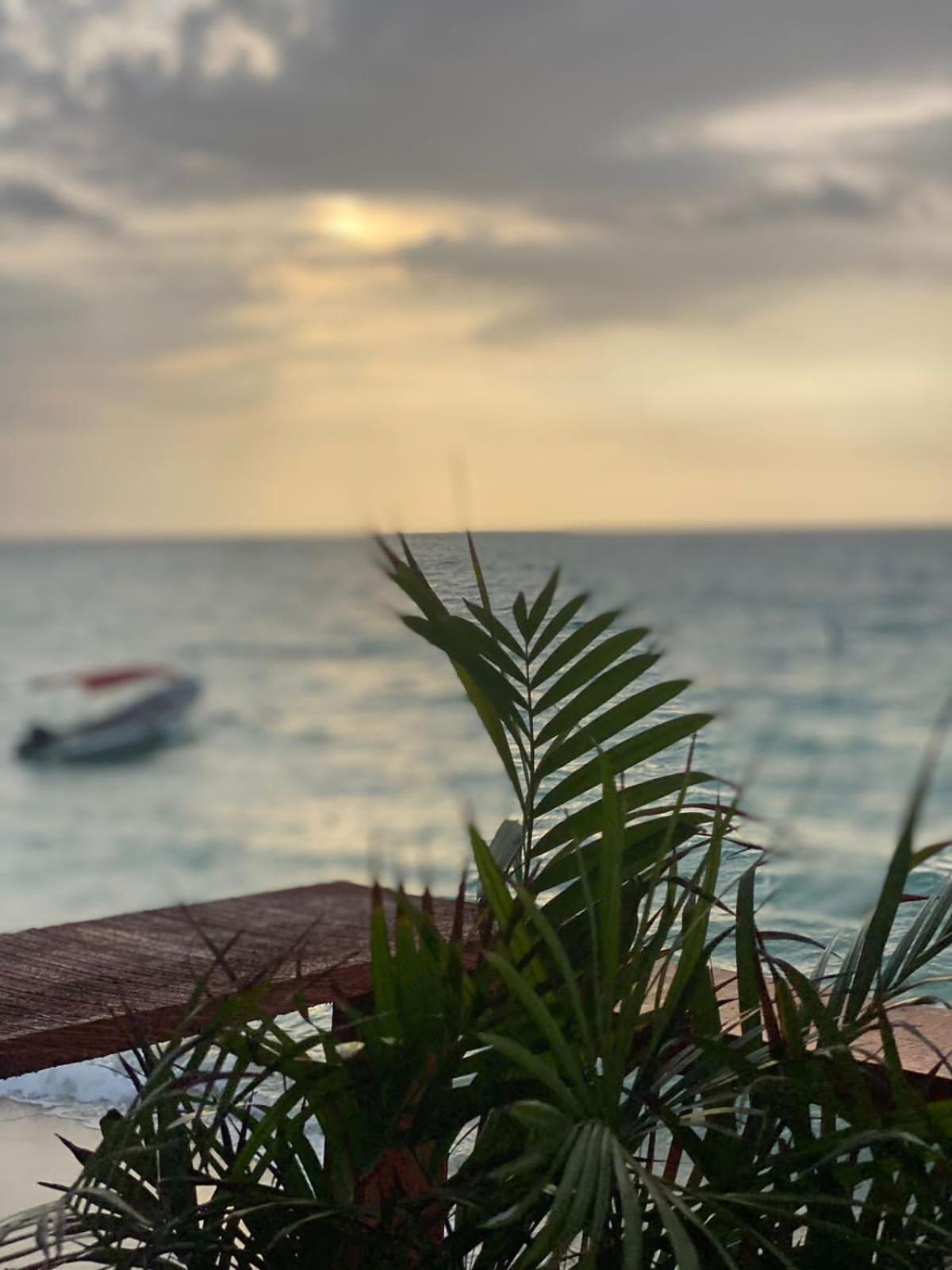 Chamos Barú Cartagena