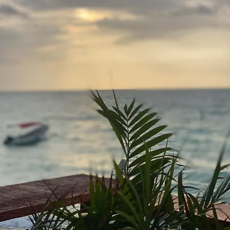 Chamos Baru Cartagena