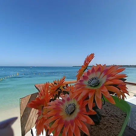 Chamos Barú Hotel