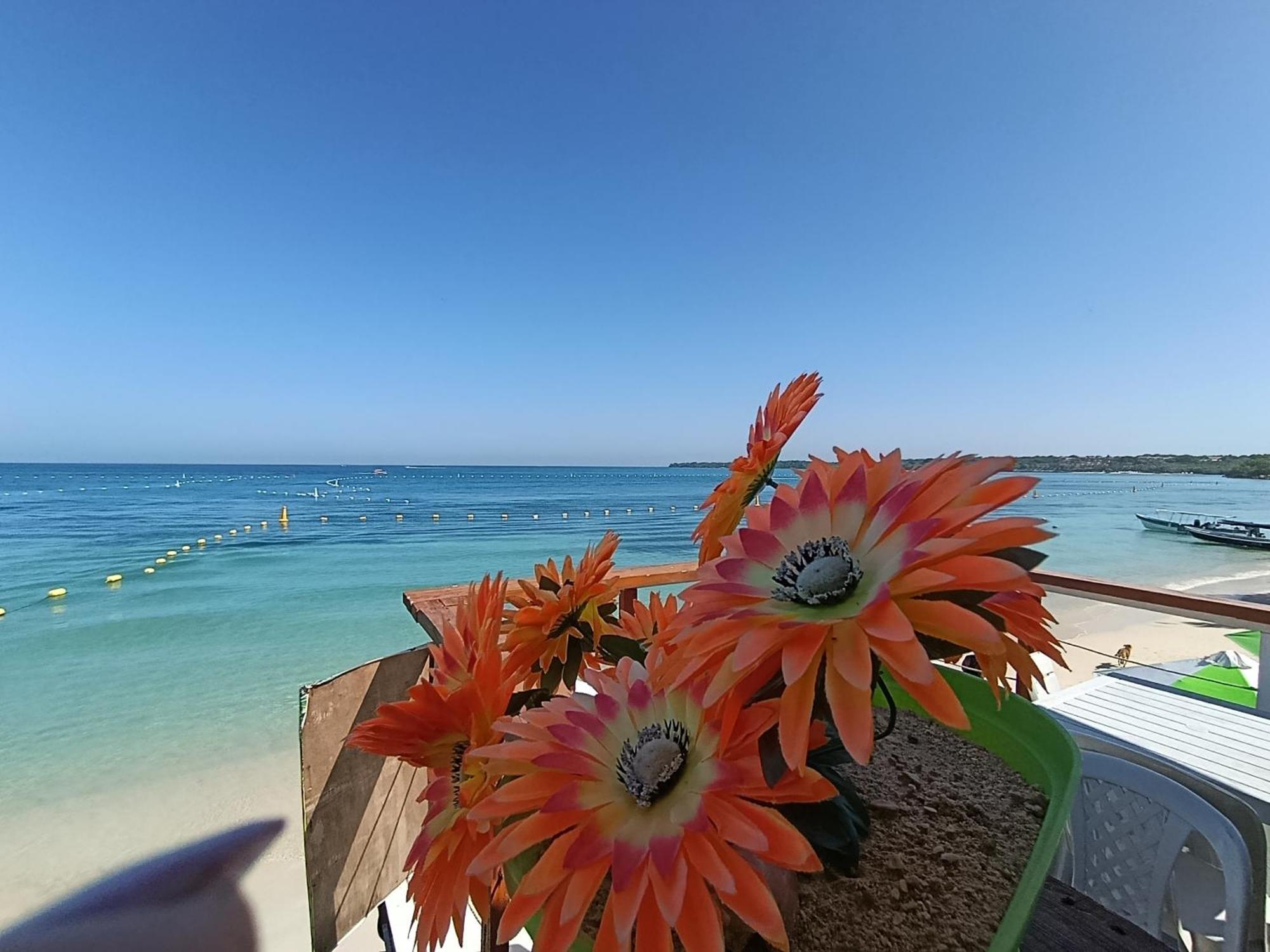 Chamos Barú Hotel